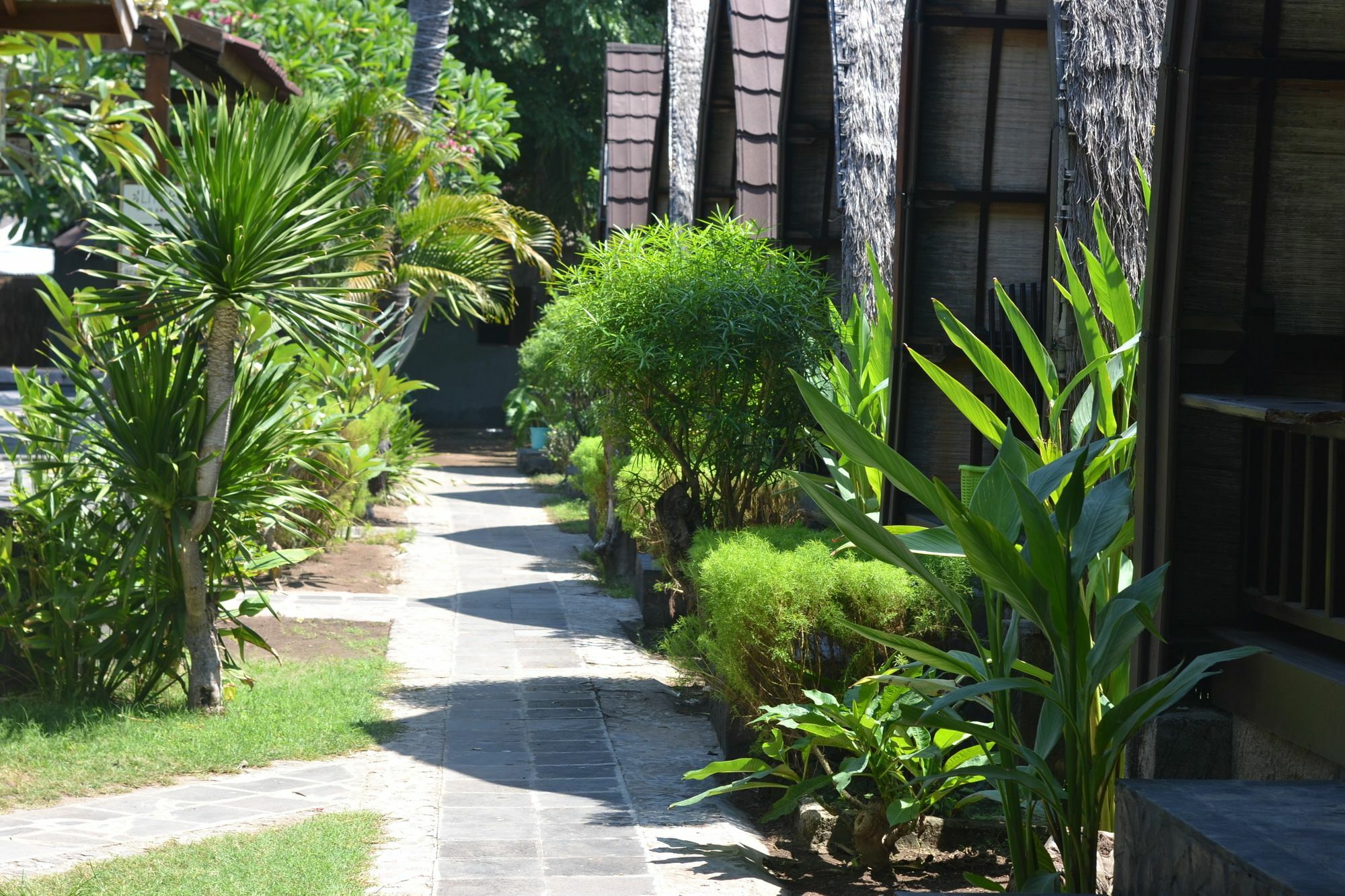 Amora Villa Gili Trawangan Exterior photo